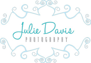 Julie Davis Photography Logo