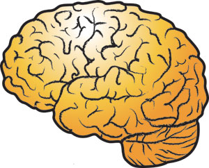 KnowledgeNews brain logo